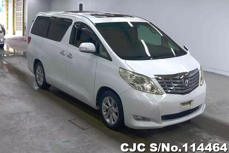 Toyota / Alphard 2010