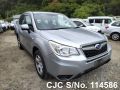 Subaru Forester in Silver for Sale Image 1
