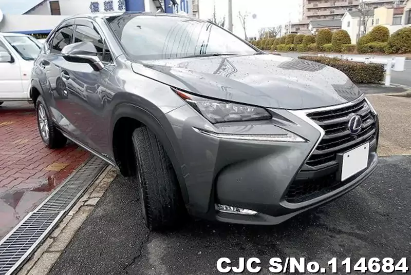 Lexus / NX 300h 2015