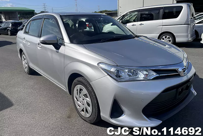 Toyota / Corolla Axio 2019