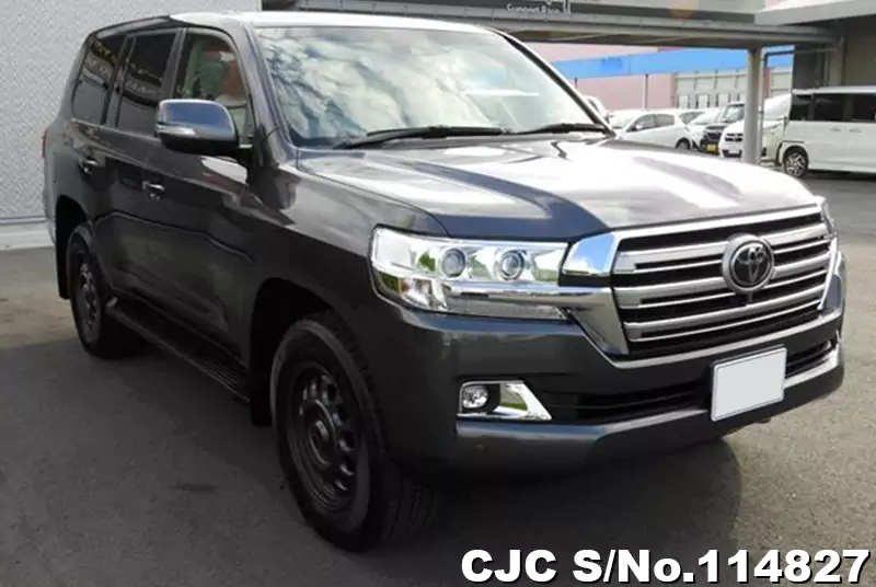 Toyota / Land Cruiser 2020