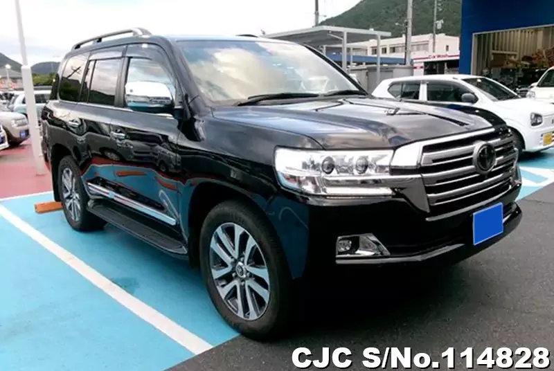 Toyota / Land Cruiser 2020