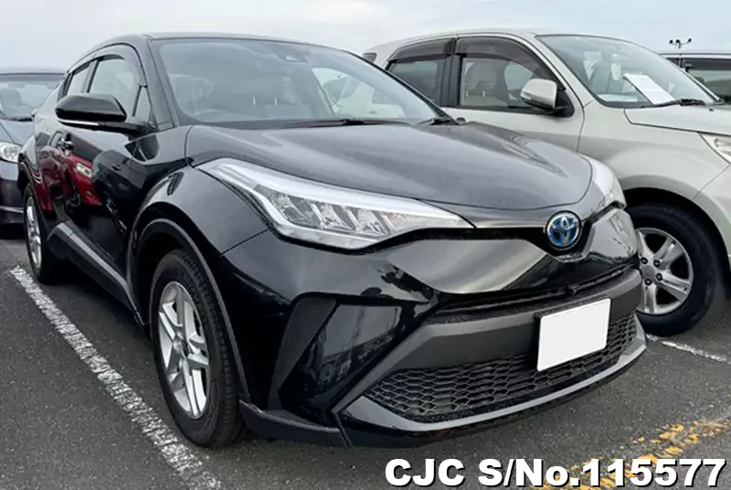 Toyota / C-HR 2023
