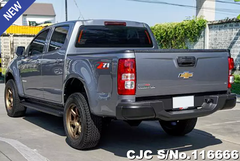 Chevrolet Colorado in Gray for Sale Image 1