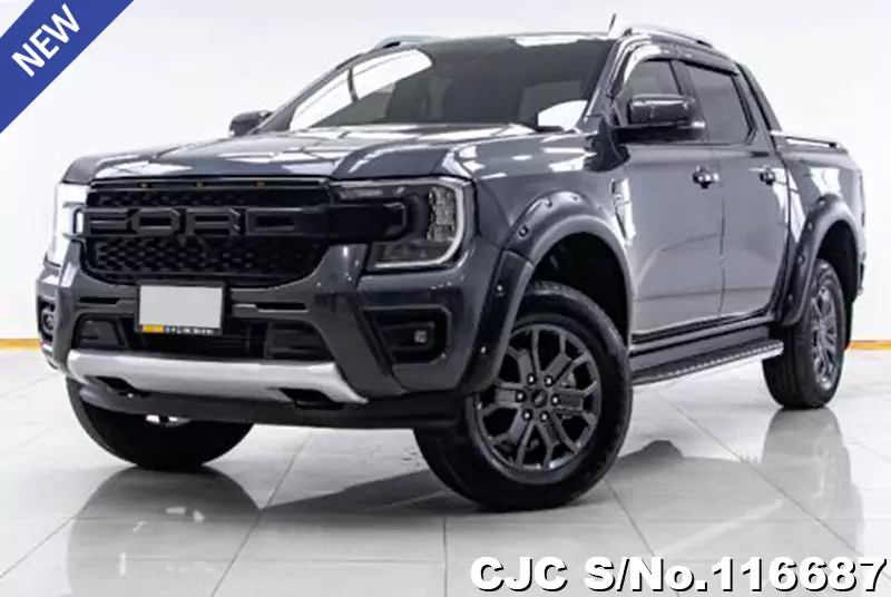 Ford Ranger in Gray for Sale Image 0