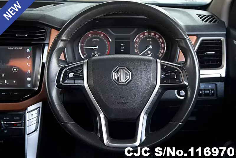 MG Extender in Gray for Sale Image 9