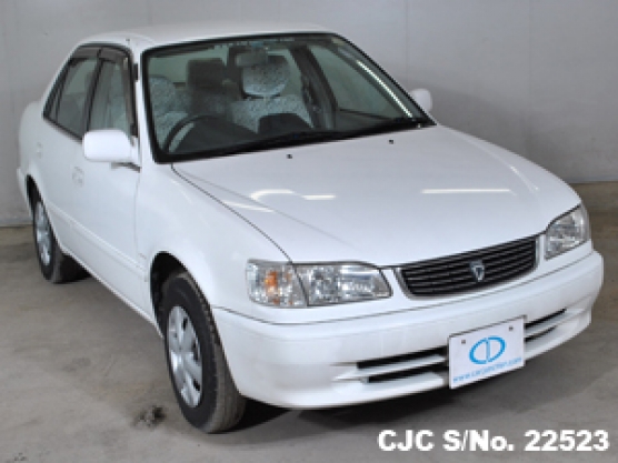 1998 Toyota / Corolla Stock No. 22523
