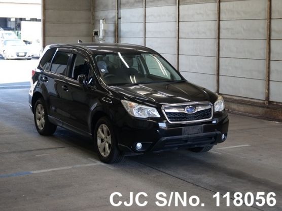 Subaru Forester in Black for Sale Image 0