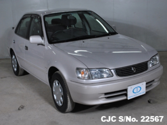 2000 Toyota / Corolla Stock No. 22567