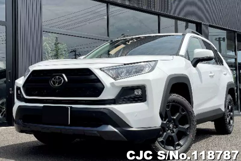 2024 Toyota Rav4 Pearl for sale Stock No. 118787 Japanese Used Cars