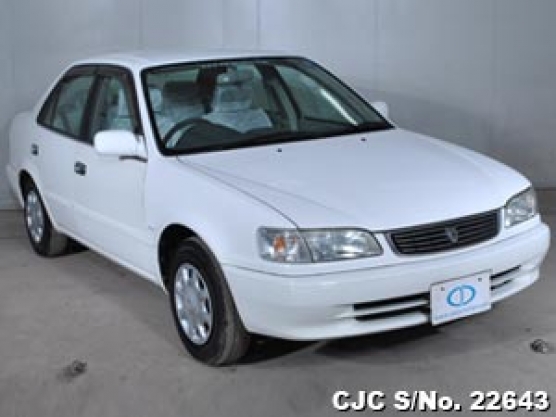 1999 Toyota / Corolla Stock No. 22643