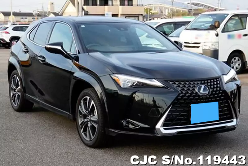 Lexus / UX 250H 2023