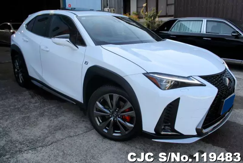 Lexus / UX 250H 2023