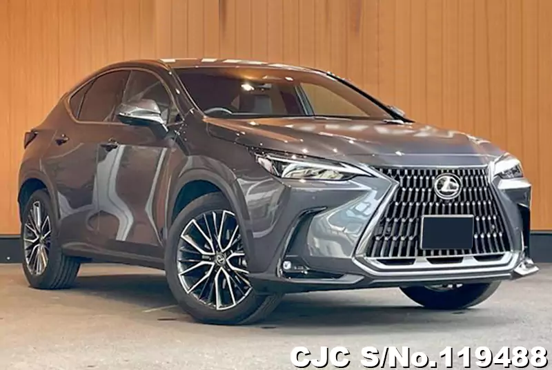 Lexus / NX 250  2023