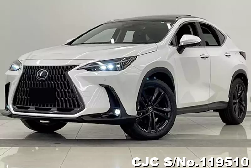 Lexus / NX 250  2023