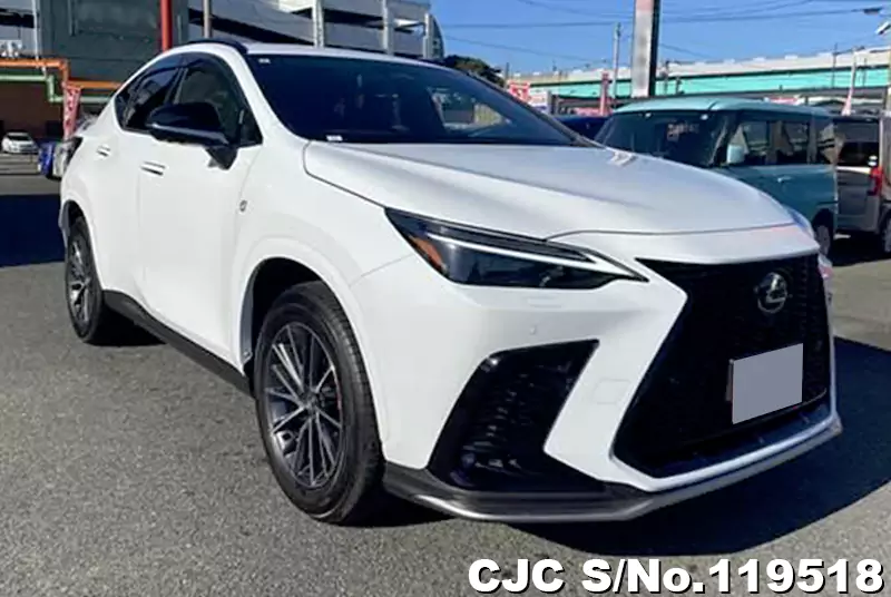 Lexus / NX 350H 2023