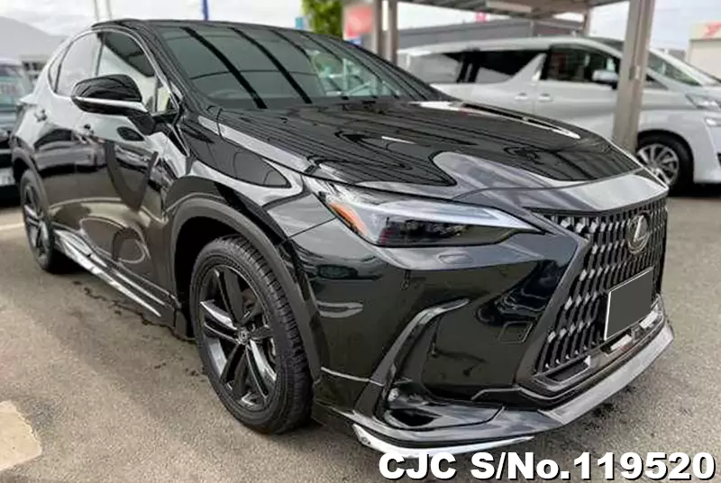 Lexus / NX 250  2023