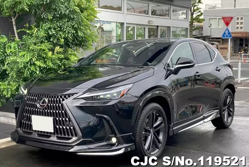 Lexus / NX 250  2023