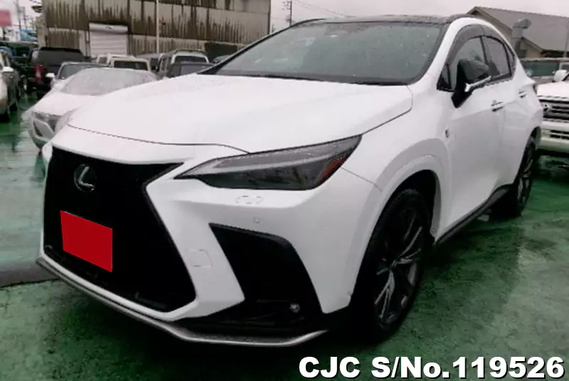 Lexus / NX 350H 2023