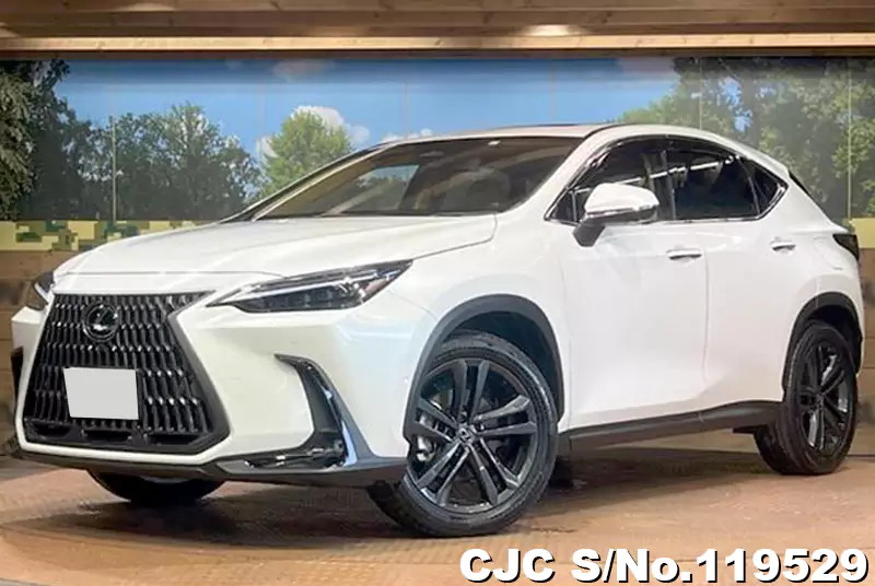 Lexus / NX 350H 2023
