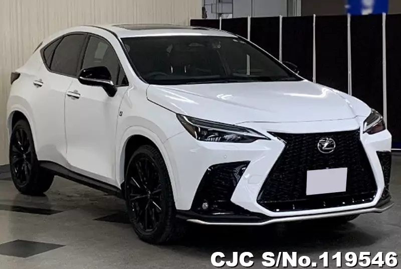 Lexus / NX 350H 2023