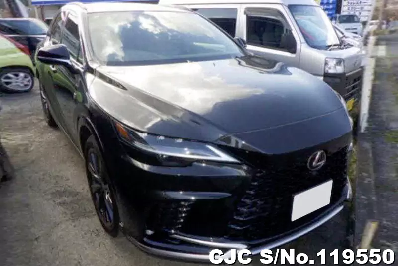 Lexus / RX 350 2023