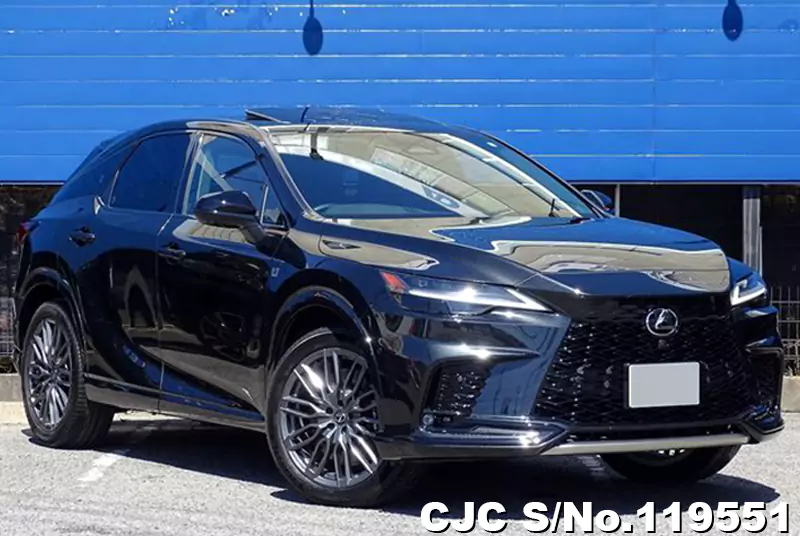 Lexus / RX 500h  2023