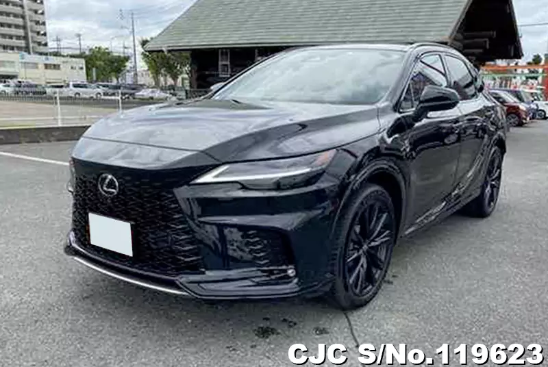 Lexus / RX 500h  2023