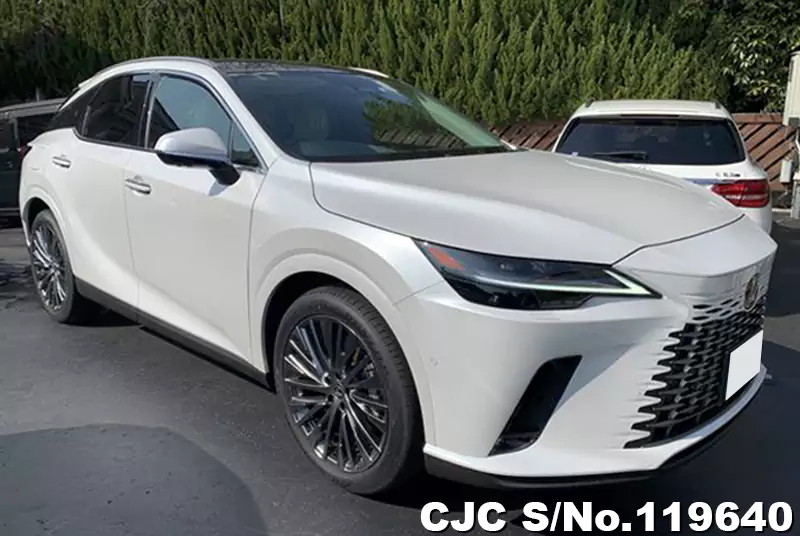 Lexus / RX 450H 2023
