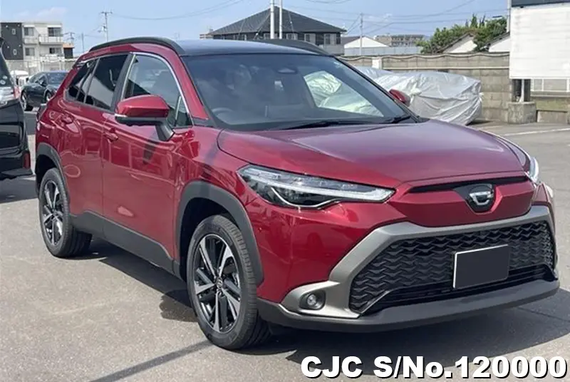 Toyota / Corolla Cross 2024