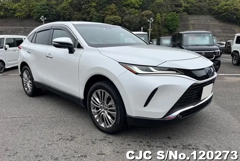 Toyota / Harrier 2023