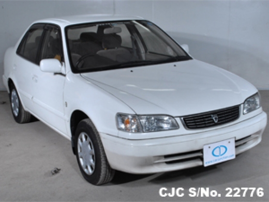 1999 Toyota / Corolla Stock No. 22776