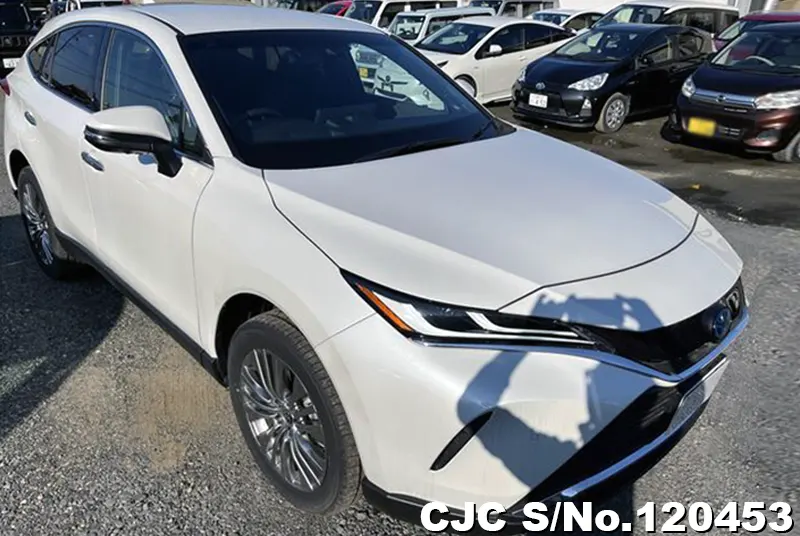 Toyota / Harrier 2023