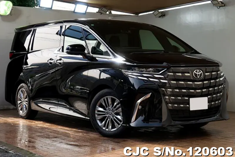 Toyota / Alphard 2024