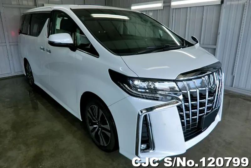 Toyota / Alphard 2023