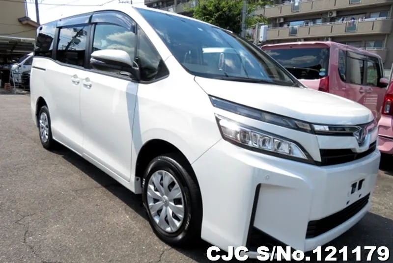 Toyota / Voxy 2019