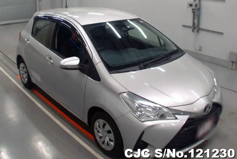 Toyota / Vitz 2019