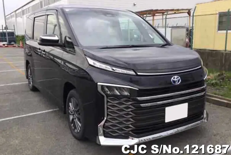 Toyota / Voxy 2024