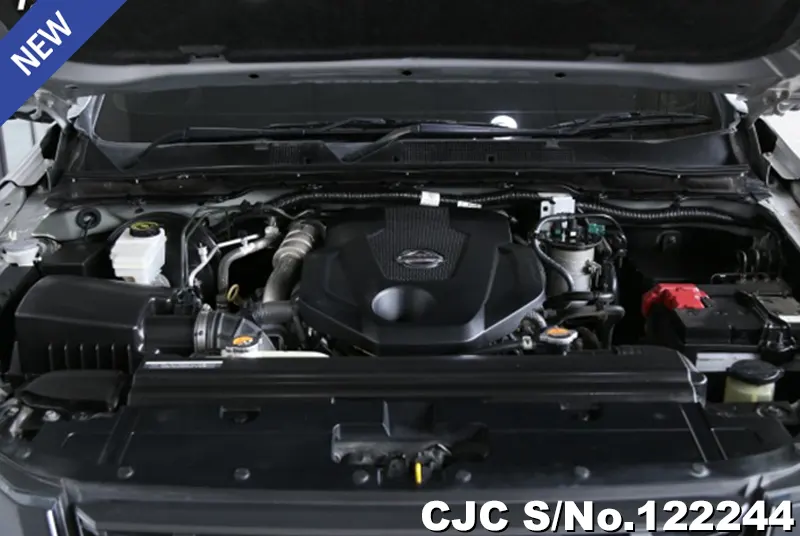 Nissan Navara in Gray for Sale Image 11