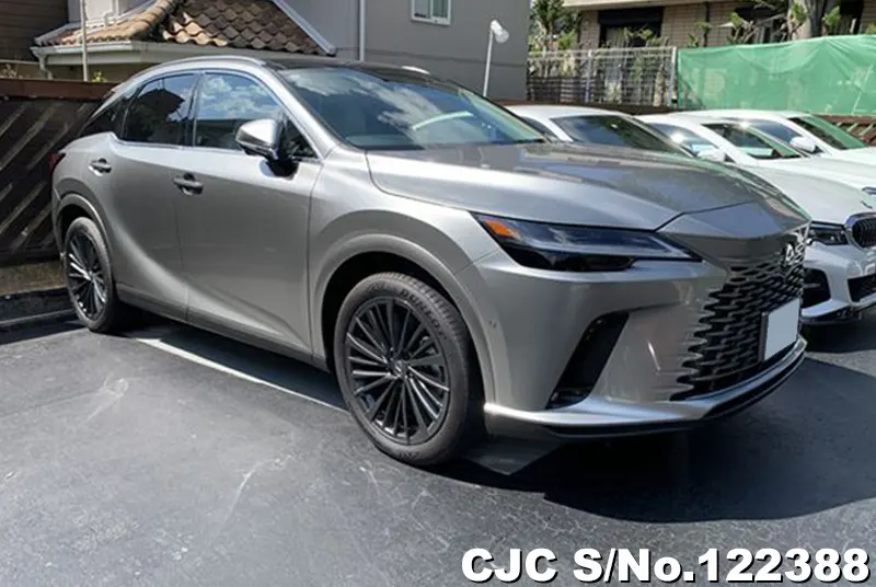 Lexus / RX 350 2024