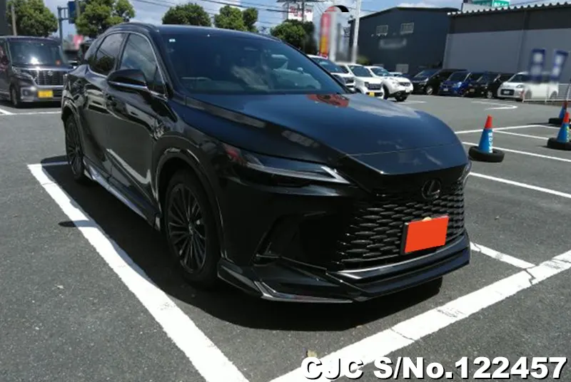 Lexus / RX 350 2023