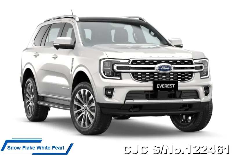 Ford Everest in Equinox Bronze for Sale Image 13