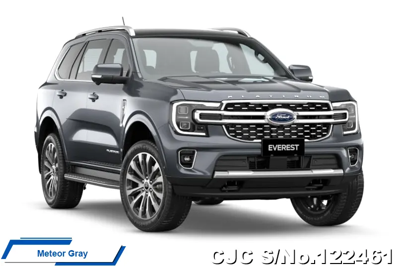 Ford Everest in Equinox Bronze for Sale Image 9