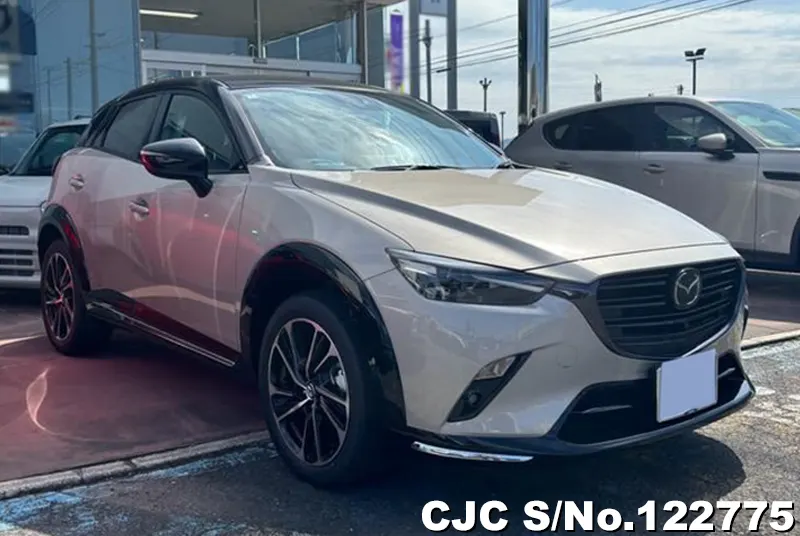 Mazda / CX-3 2024