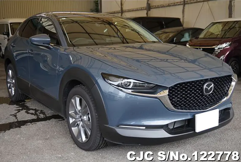 Mazda / CX-30 2024