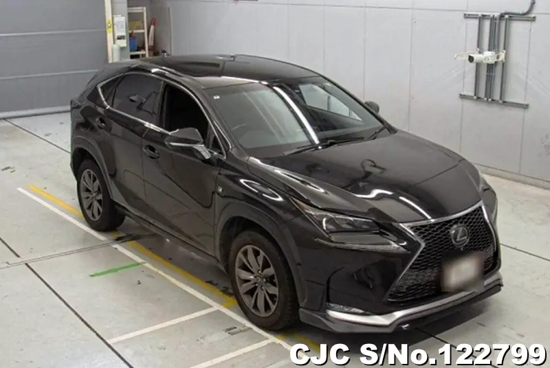 Lexus / NX 200 2015