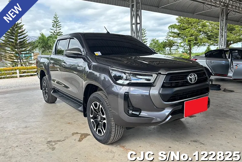 Toyota Hilux in Gray for Sale Image 0