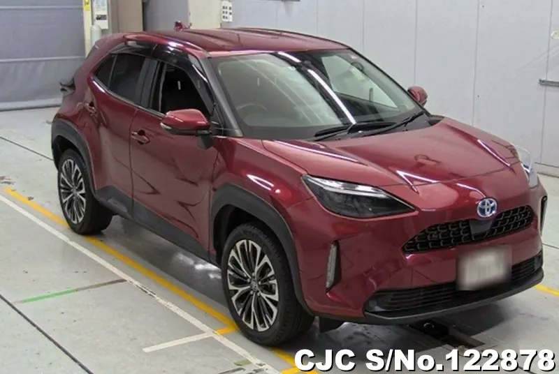 Toyota / Yaris Cross 2021