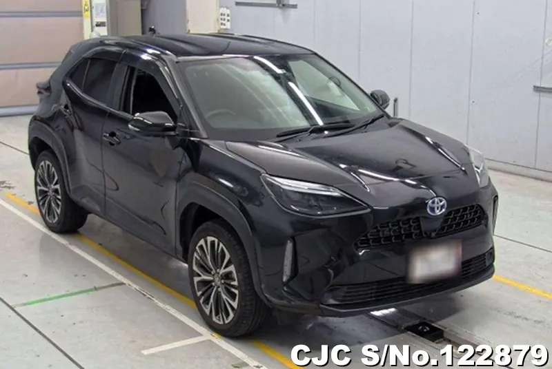 Toyota / Yaris Cross 2021