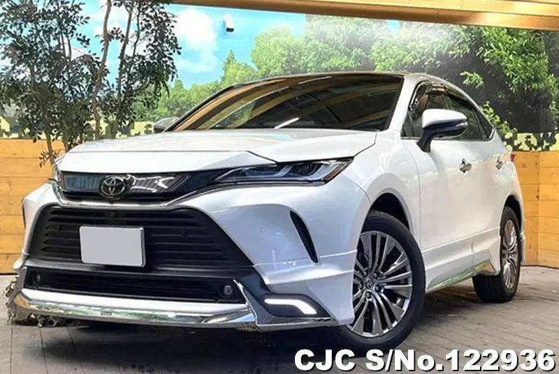 Toyota / Harrier 2024